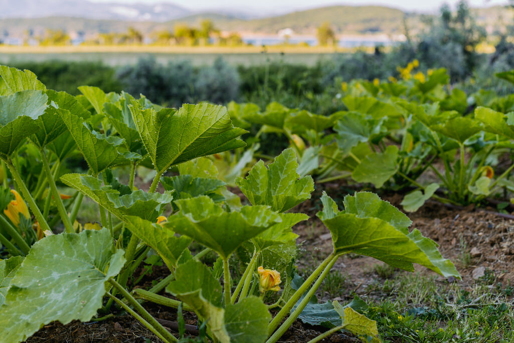 Tuscany coast hotels