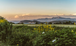 Tuscany beach holidays